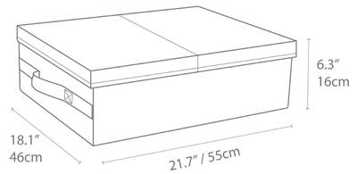 Plan & Dimensions