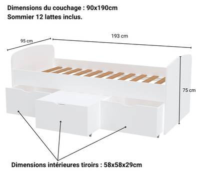 Plan & Dimensions