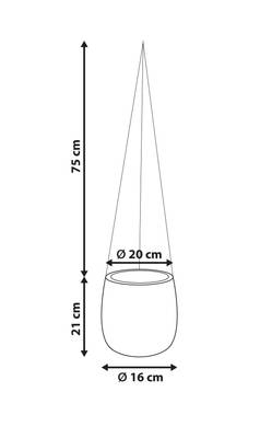 Plan & Dimensions