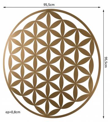 Plan & Dimensions