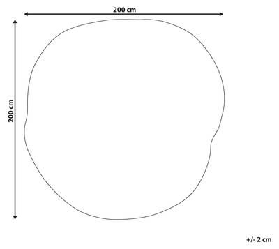 Plan & Dimensions