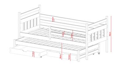 Plan & Dimensions