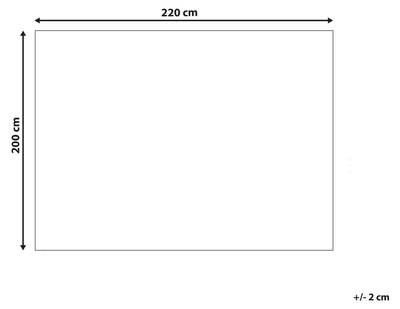 Plan & Dimensions