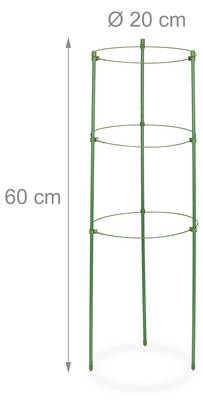 Plan & Dimensions