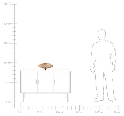 Plan & Dimensions