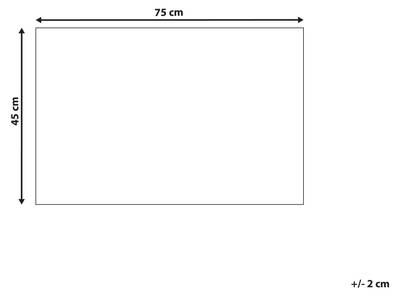 Plan & Dimensions