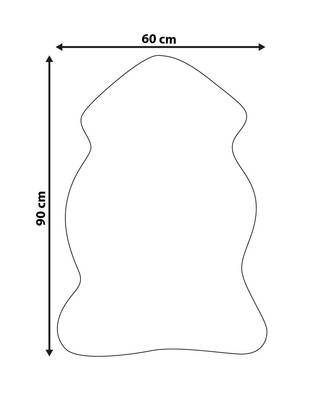 Plan & Dimensions