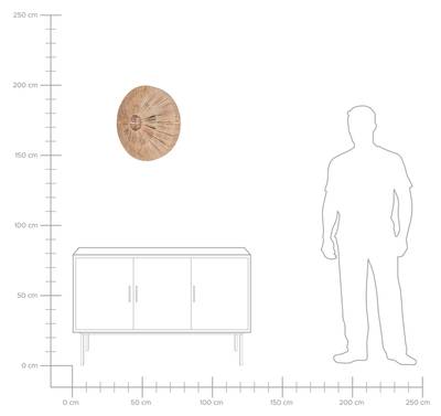 Plan & Dimensions