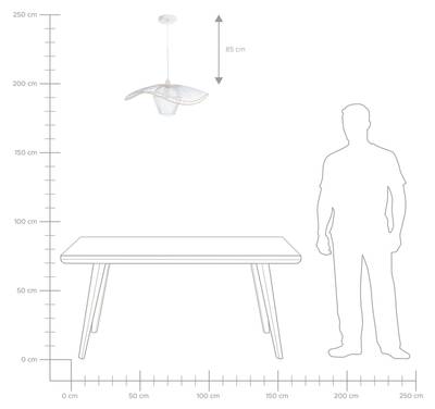 Plan & Dimensions