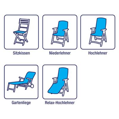 Plan & Dimensions