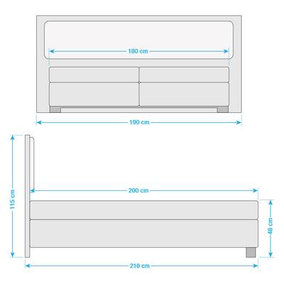 Plan & Dimensions