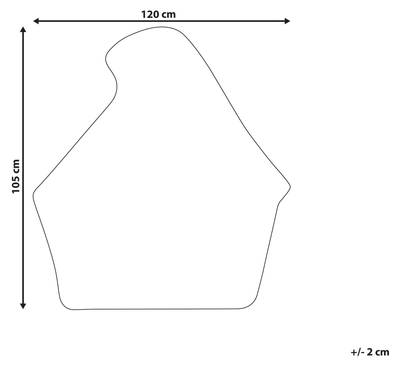 Plan & Dimensions