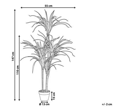 Plan & Dimensions