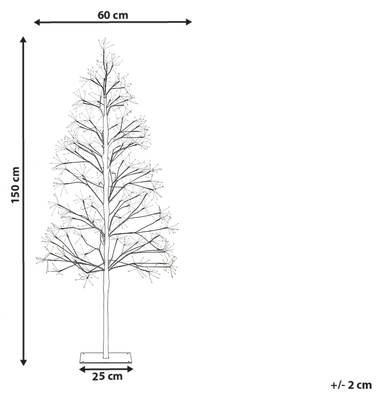 Plan & Dimensions