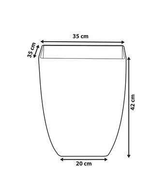 Plan & Dimensions