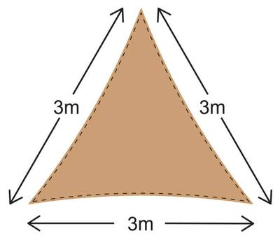 Plan & Dimensions