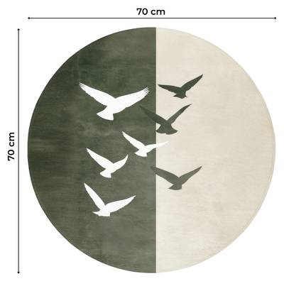 Plan & Dimensions