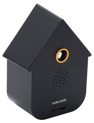 Ornament Sound Box Modern Cuckoo
