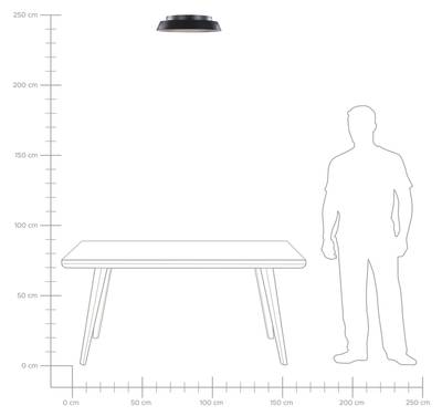 Plan & Dimensions