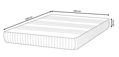 Plan & Dimensions