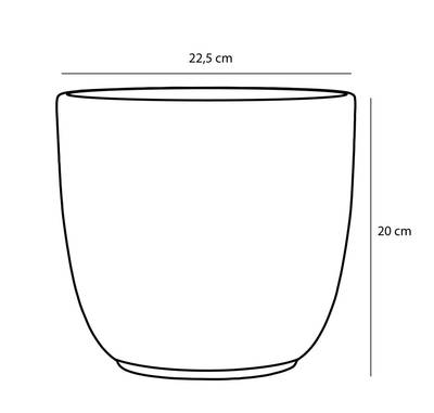 Plan & Dimensions