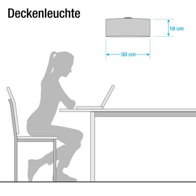 Plan & Dimensions