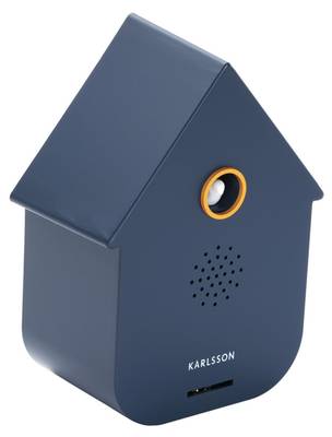 Ornament Sound Box Modern Cuckoo