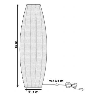 Plan & Dimensions