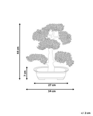 Plan & Dimensions