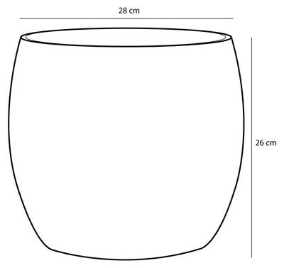 Plan & Dimensions