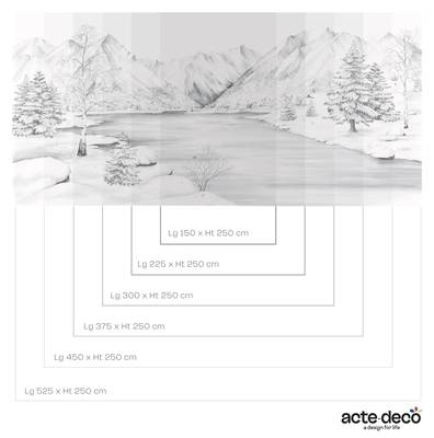 Plan & Dimensions