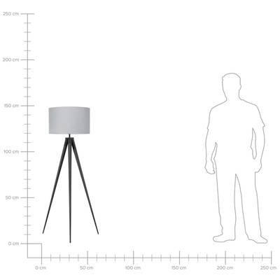 Plan & Dimensions