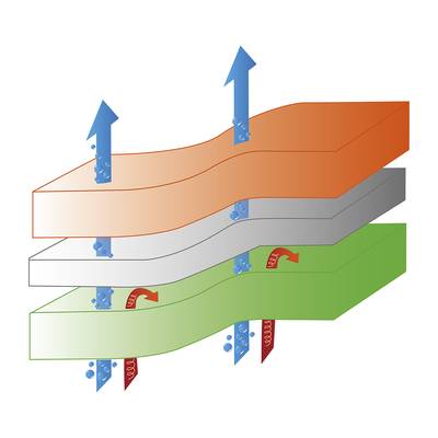 Plan & Dimensions