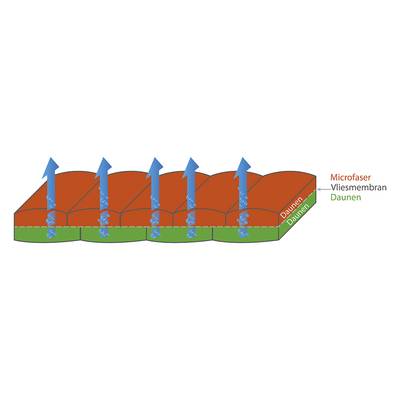 Plan & Dimensions