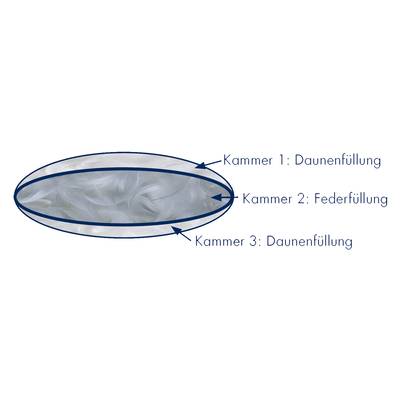 Plan & Dimensions