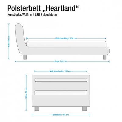 Plan & Dimensions