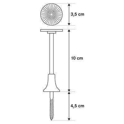 Plan & Dimensions