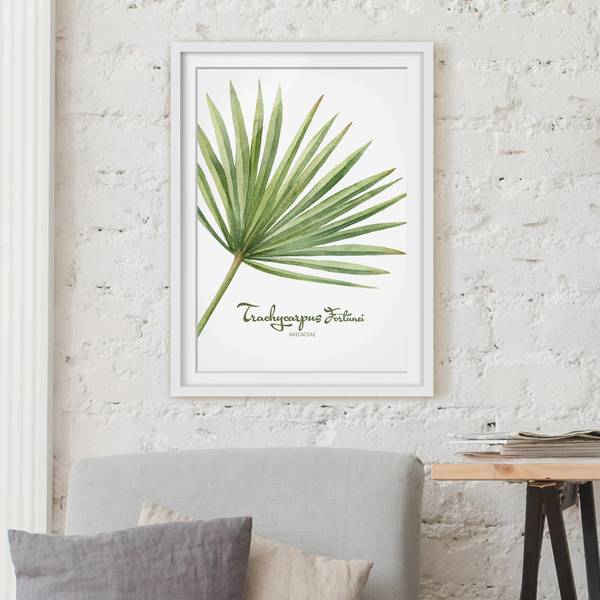 Bild Aquarell Botanik Trachycarpus II Kiefer teilmassiv - Weiß - 30 x 40 cm