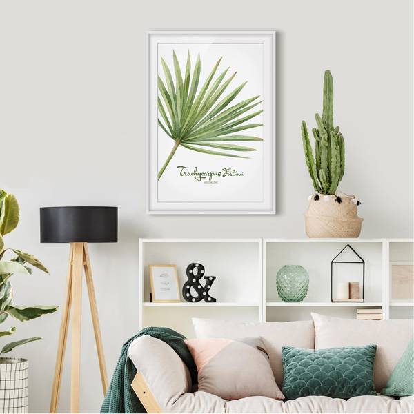 Bild Aquarell Botanik Trachycarpus II Kiefer teilmassiv - Weiß - 30 x 40 cm
