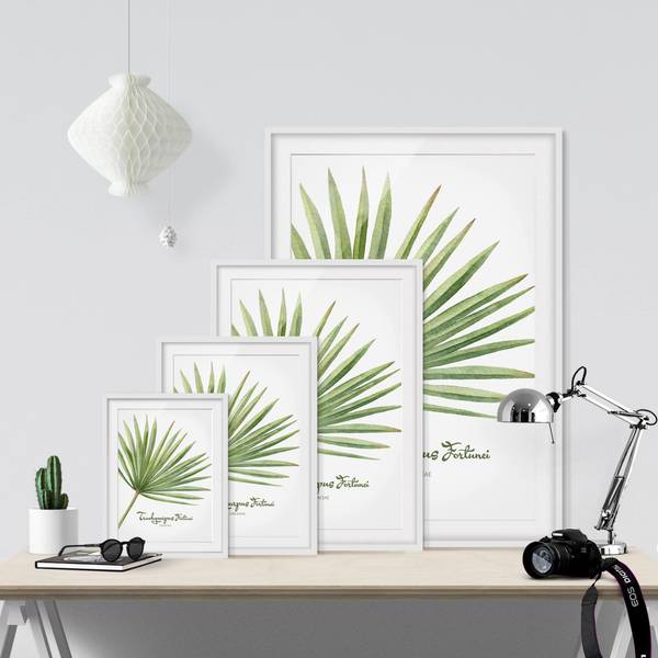 Bild Aquarell Botanik Trachycarpus II Kiefer teilmassiv - Weiß - 30 x 40 cm