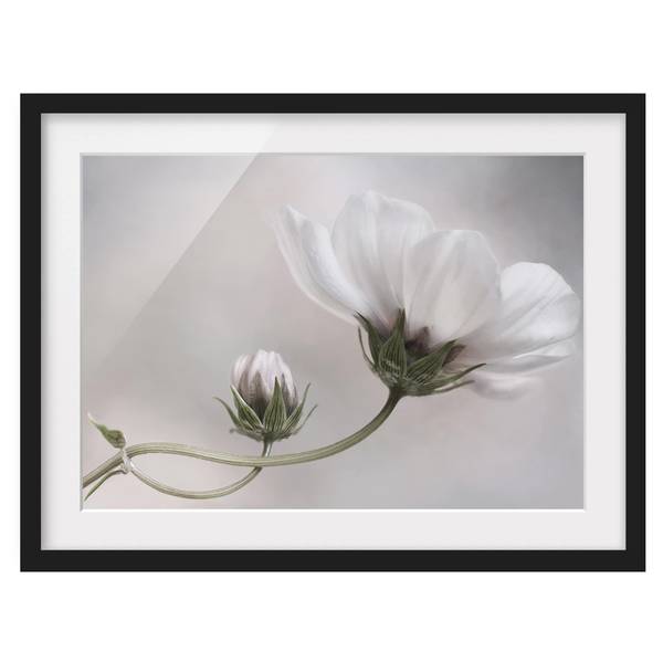 Afbeelding Simply Cosmos I deels massief grenenhout - zwart - 70 x 50 cm