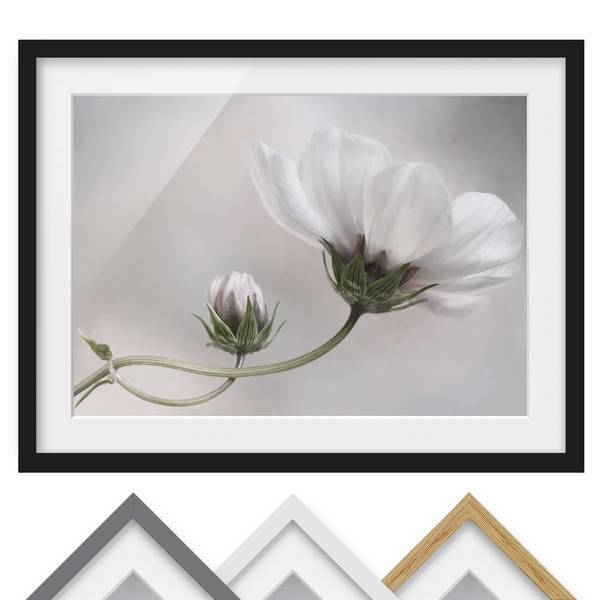 Afbeelding Simply Cosmos I deels massief grenenhout - zwart - 70 x 50 cm