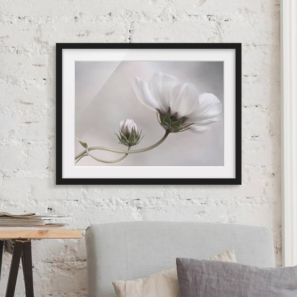 Afbeelding Simply Cosmos I deels massief grenenhout - zwart - 70 x 50 cm