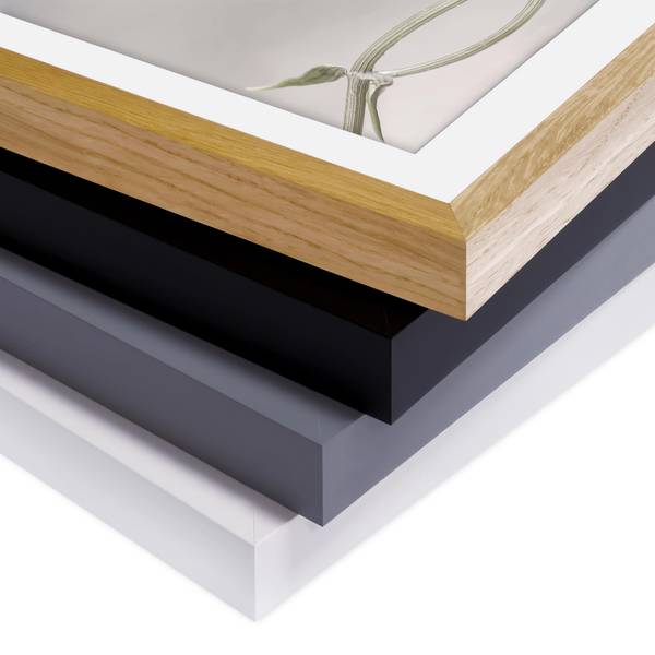 Afbeelding Simply Cosmos I deels massief grenenhout - zwart - 70 x 50 cm