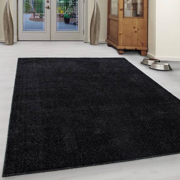 Kurzflorteppich Ata Polypropylene / Polyester - Anthrazit - 80 x 150 cm