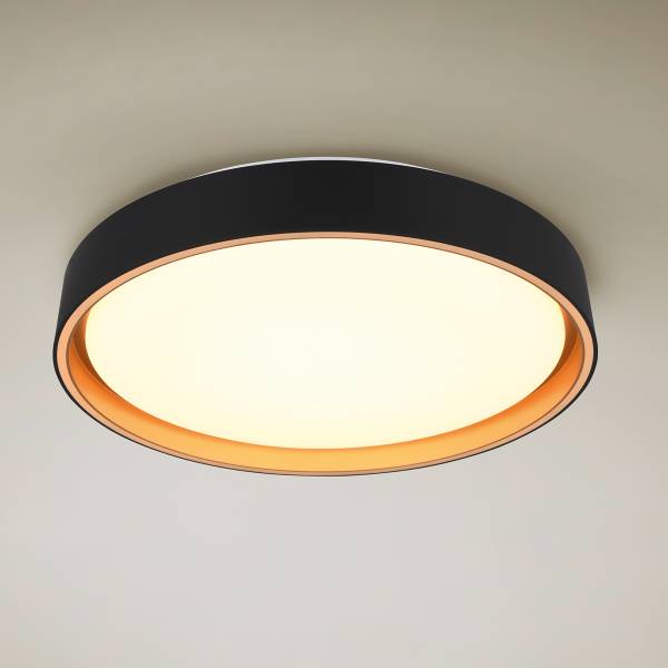 LED-Deckenleuchte Felis Kunststoff - Schwarz - 1-flammig