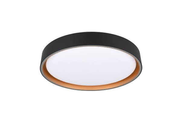 LED-Deckenleuchte Felis Kunststoff - Schwarz - 1-flammig