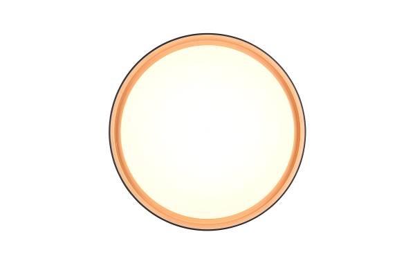 LED-Deckenleuchte Felis Kunststoff - Schwarz - 1-flammig