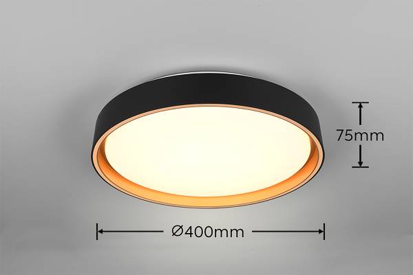 LED-Deckenleuchte Felis Kunststoff - Schwarz - 1-flammig