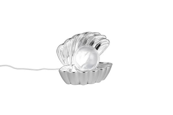 LED-Tischleuchte Shelly Kunststoff - Silber - 1-flammig